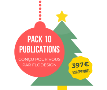 Flodesign-Noel-fond simple-2